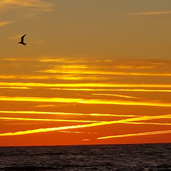 Meet your Posher, Darlee C.  Poshmark Ambassador - Picture 14 of 16